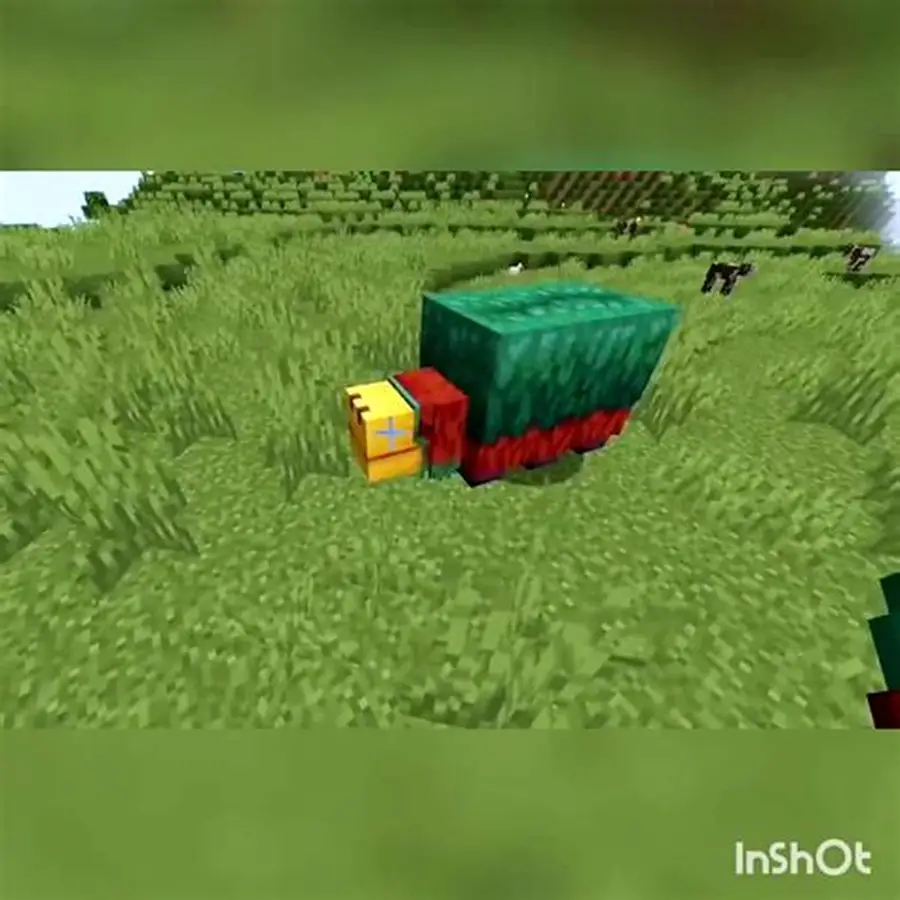 RPG Terramity