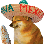 Chato122231 member profile picture