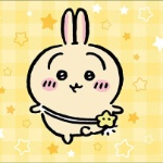 Usagi_lover3000