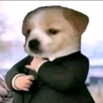 Daniel_v4k member profile picture