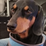 flummihexe76 member profile picture