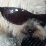 mininotprime member profile picture
