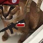 user_6vawqm3eumdoiif2 member profile picture