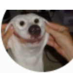 Rilyghosthesh member profile picture