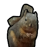 YellowUboat member profile picture