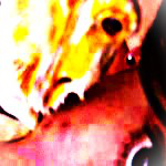 oni7suKa member profile picture
