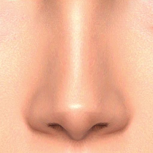Nose Preset 52 HQ logo
