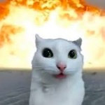 Felix_Da_Cat member profile picture