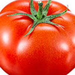 garlicdemarlic member profile picture