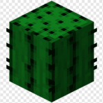 tigusigalpa member profile picture