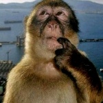 Ireviewmapsforfun1321 member profile picture