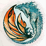 TomNio338 member profile picture