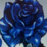 SapphireRose98 member profile picture