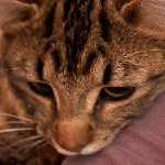 lexiemc member profile picture