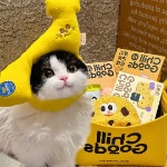 XD_ON member profile picture