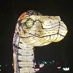 McVins member profile picture