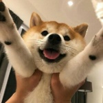 EynixD member profile picture