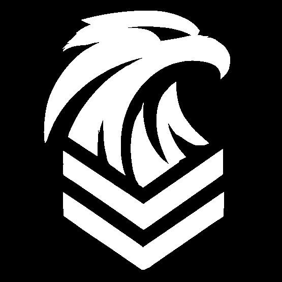 Vell's Modern Warfare [IV/MTS] logo