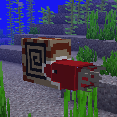 Wollcrafter's Nautilus