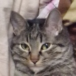 WildStrand member profile picture