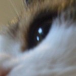 Kay13th member profile picture