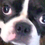 View annymsmthd's Profile