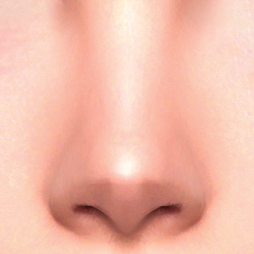 Nose Preset 53 HQ logo