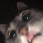 InfinyXVII member profile picture