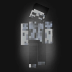 VanRevMC member profile picture
