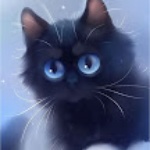 Catty_2342 member profile picture
