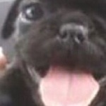 sady member profile picture