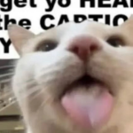 Smooothie__ member profile picture