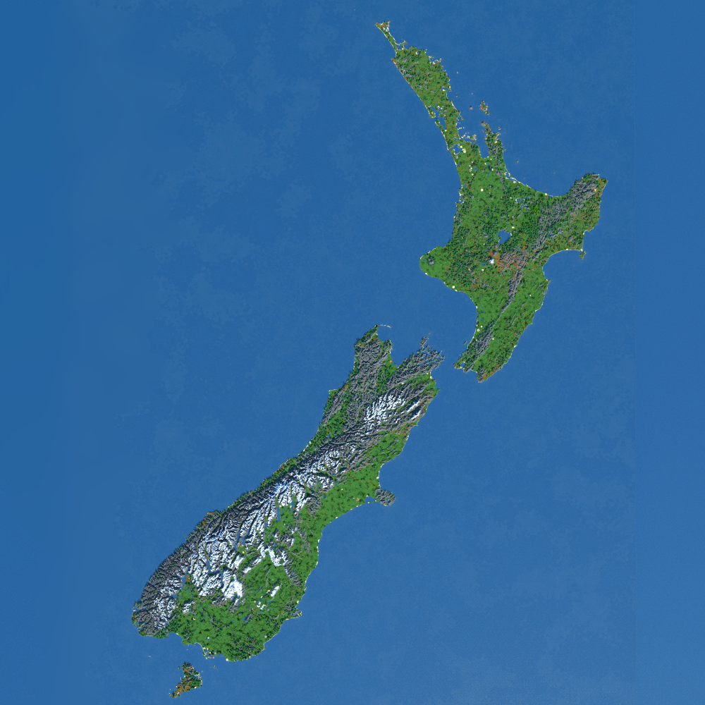New Zealand - Survival World logo
