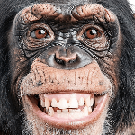 Terrance25 member profile picture