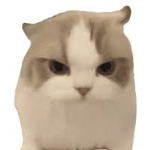 Dashabi666 member profile picture