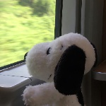 christenheimer member profile picture