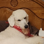Rav_16 member profile picture
