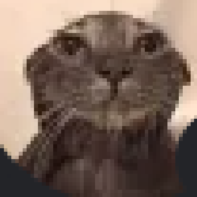 create kitty cat logo