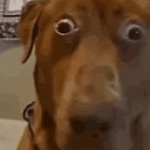 mouzeforge member profile picture