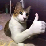 Buhks member profile picture