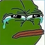 duckyblockyant member profile picture