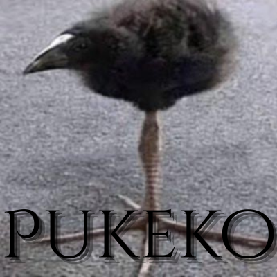 Pukeko (DAYUM)