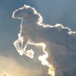 royality_sky member profile picture