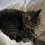 user_ormd9arncwkbypbv member profile picture