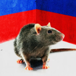 Russian_Rat_Maid member profile picture