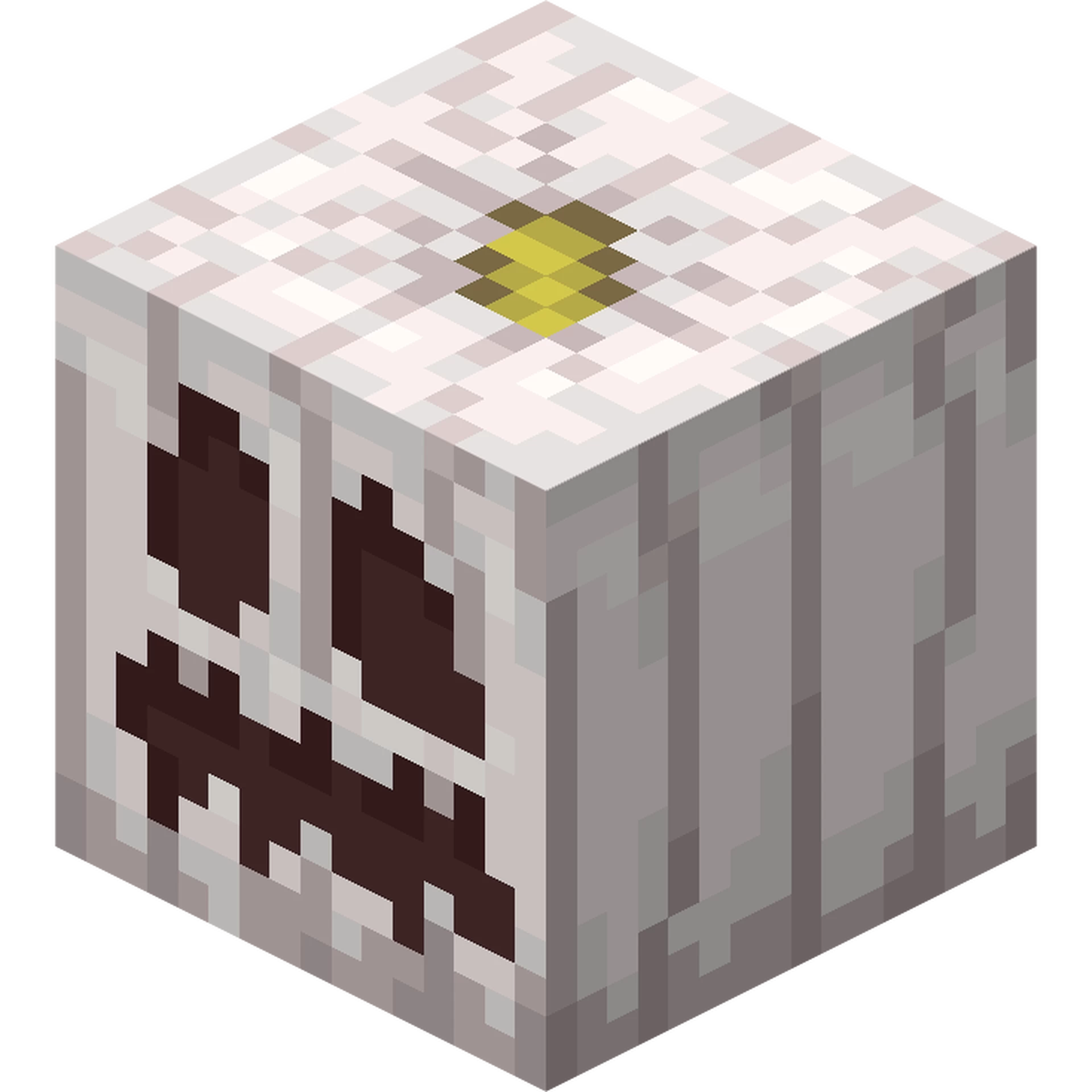 PaleDimension