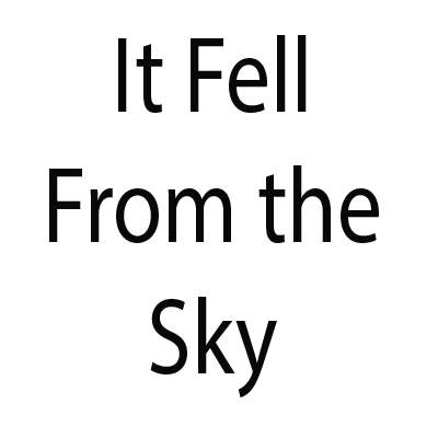 It Fell From The Sky logo