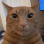 Sopapng member profile picture