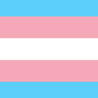 Tay's Transgender Themed Hotbar