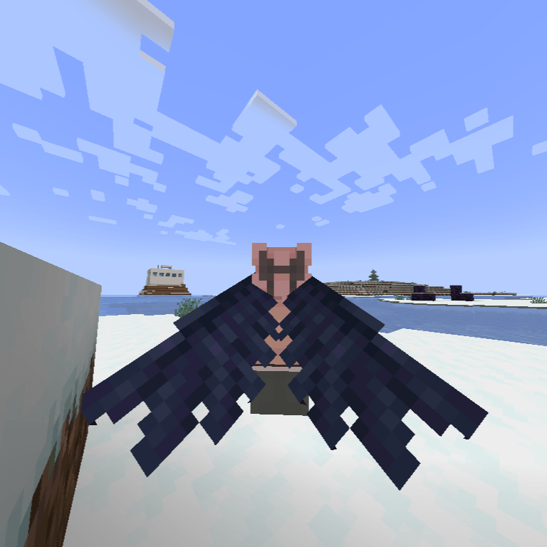BB's Wings Elytra Crow